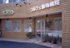 コルフェ動物病院：自然木と窯業タイルの組み合わせ　神奈川県横浜市
